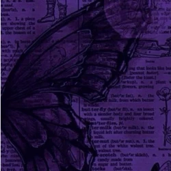 عکس بی اسم 2