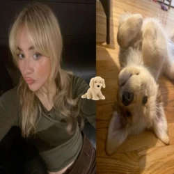 عکس 𝖬𝖾𝗅𝖺𝗇𝗂𝖾