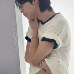 عکس Schmetterling