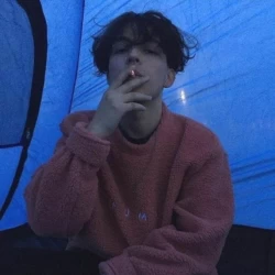 عکس Lαʋαɳԃα