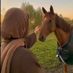 تصویر پروفایل