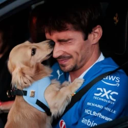 تصویر پروفایل