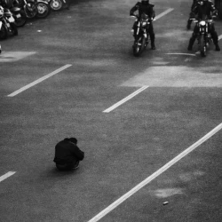 عکس 𝐴𝑙𝑒𝑥