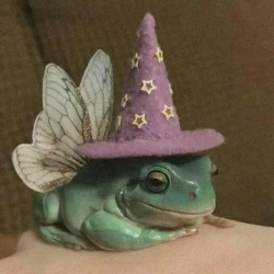 عکس خانوم غورباقه