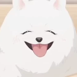 عکس P♥i♥n♥k♥i