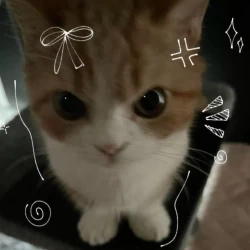 عکس 𝑴𝒆𝒍𝒊𝒌𝒂