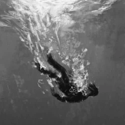 عکس اسپایدر من