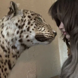 عکس 𝗇𝖺𝗆𝗂𝗋𝖺