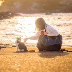 عکس 𝐋𝐮𝐧𝐚