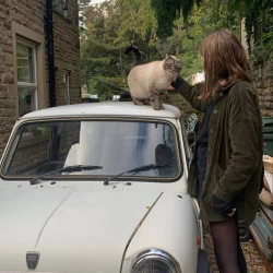 عکس 𝑯𝒂𝒏𝒂