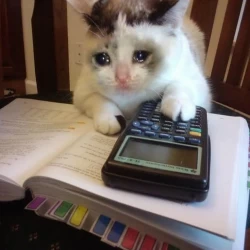 عکس 𝐑𝐞𝐲𝐡𝐚𝐧𝐞