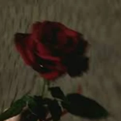 عکس خانوم کوچولو؛