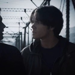 عکس ☄واتسون