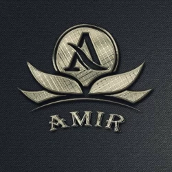 عکس امیر
