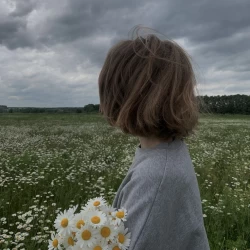 عکس 𝒩𝒾𝓁𝓁