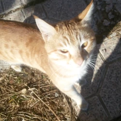 عکس فیزیک کوانتوم