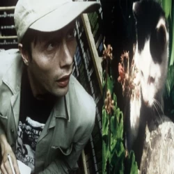 عکس saddamhosein@