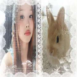 عکس 𝒟𝖾𝗅𝖺𝗋𝒜𝗆