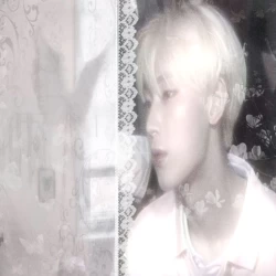 عکس bigdogdontbite