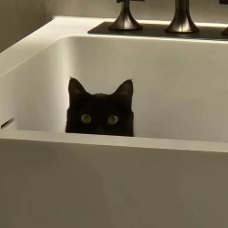 عکس ای بابا! Mili❄