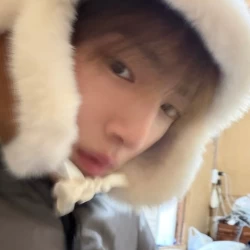 عکس die 𝟦 tortori