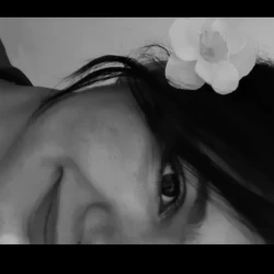 عکس کاملیا هسدم