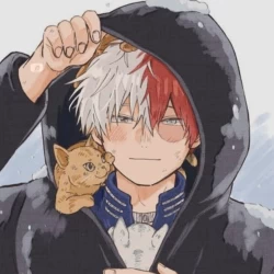 عکس Mrs Todoroki