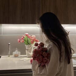 عکس گربه اپراتور