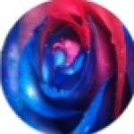 تصویر پروفایل