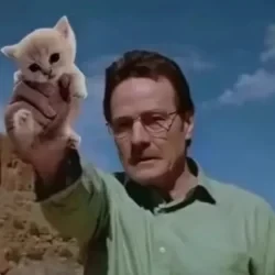 عکس بهلول