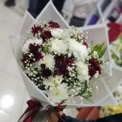 عکس Student