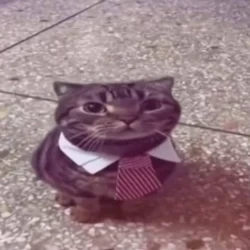 عکس 𝐒𝐚𝐦𝐢𝐧