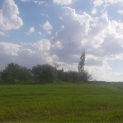 عکس Yuna