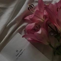 عکس نازی