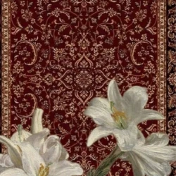 عکس Shidnaz