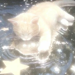 آواتار 𝓛𝓲𝓸𝓻𝓪
