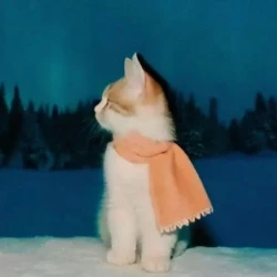 عکس 𝘗𝘏𝘋