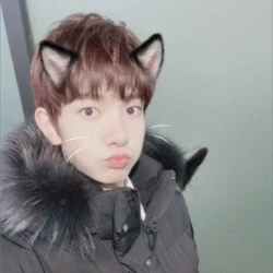 عکس 小猫