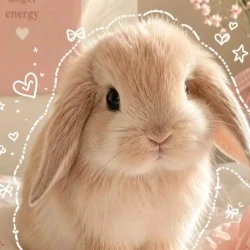 عکس 🍡 My Mochi