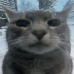 عکس 𝗠𝗮𝗵𝘆𝗮𝗿