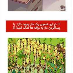 عکس معما را پیدا کن
