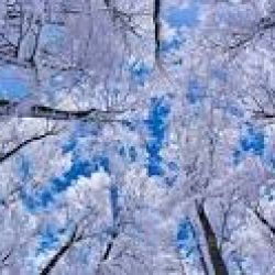 عکس امسال بارون و برف  دیدی