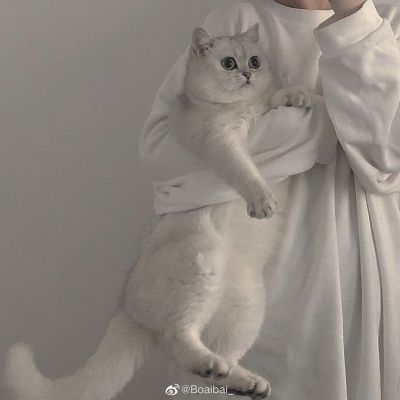 تصویر مسابقه