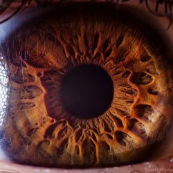 عکس چیز های عجیب 😵 در بدن