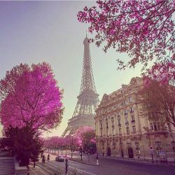 عکس اگه بیدار بشی و ببینی تو پاریس هستی چیکار میکنی😍❤
