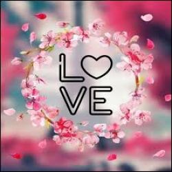 عکس یه جمله زیبا برای مدیر تستچی بگو