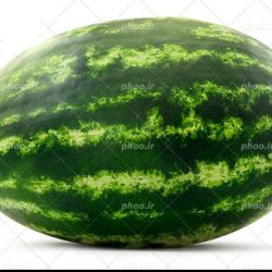 عکس اگر هندوانه پیر بشه چه شکلی میشه