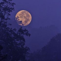 عکس بزرگ ترین دروغی که گفتی ؟