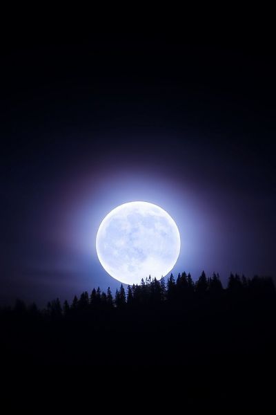 تصویر مسابقه
