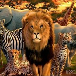 عکس مسابقه در مورد حیوانات